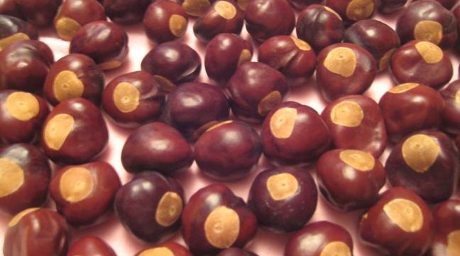 A community-built necklace